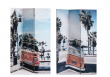 parav�n trojd�ln� d�evo, pl�tno California 2 - pohled 1 - www.maxitrend.cz