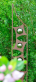 dekorativn� z�pich do zahrady 8 - pohled 3 - www.maxitrend.cz