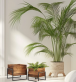 d�ev�n� kv�tin��e s kovov�m r�mem sada 2ks 28 - pohled 2 - www.maxitrend.cz
