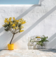 d�ev�n� ozdobn� truhl��ky na kv�tiny ve tvaru pl�tku 29 - pohled 2 - www.maxitrend.cz