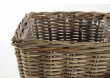 sada t�� ratanov�ch ko�� na rostliny 3 - pohled 3 - www.maxitrend.cz