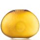 ru�n� foukan� sklen�n� v�za 82 - pohled 1 - www.maxitrend.cz